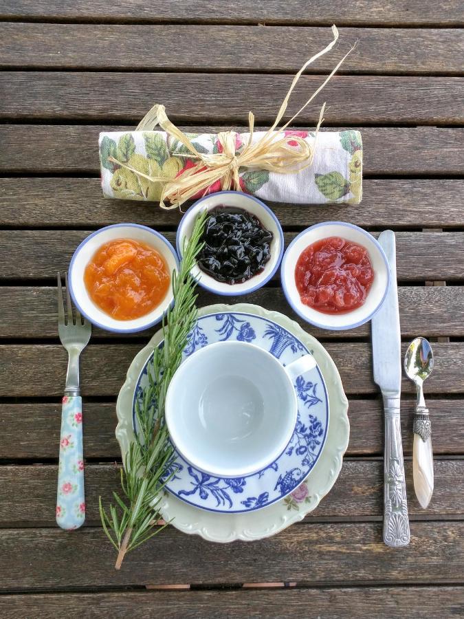 Quai Des Fleurs Bed and Breakfast Saint-Savinien Esterno foto
