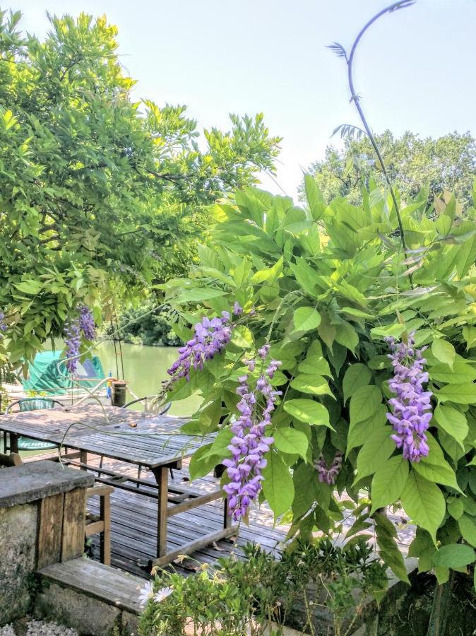 Quai Des Fleurs Bed and Breakfast Saint-Savinien Esterno foto