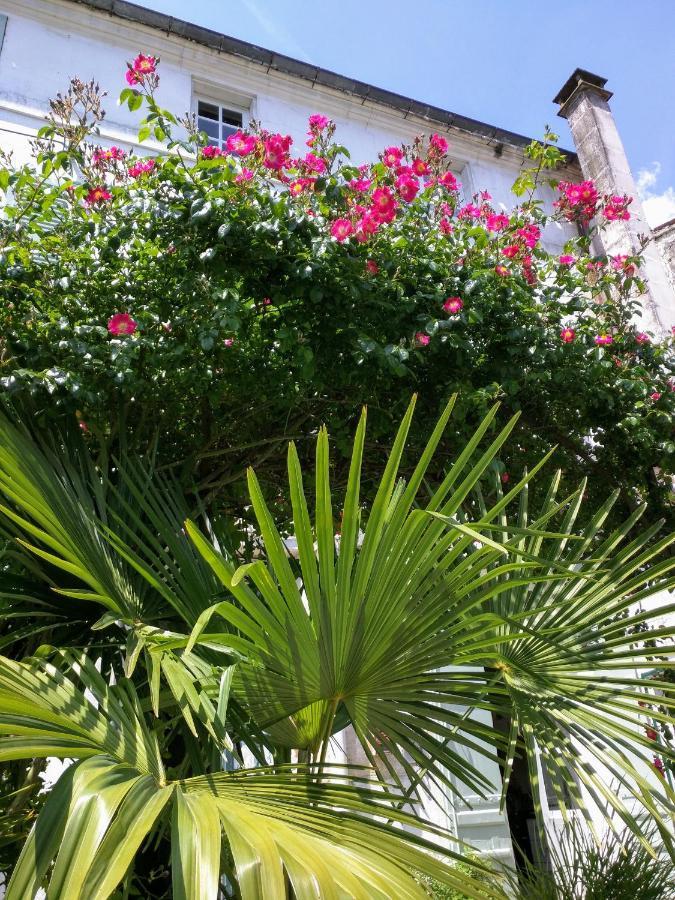 Quai Des Fleurs Bed and Breakfast Saint-Savinien Esterno foto